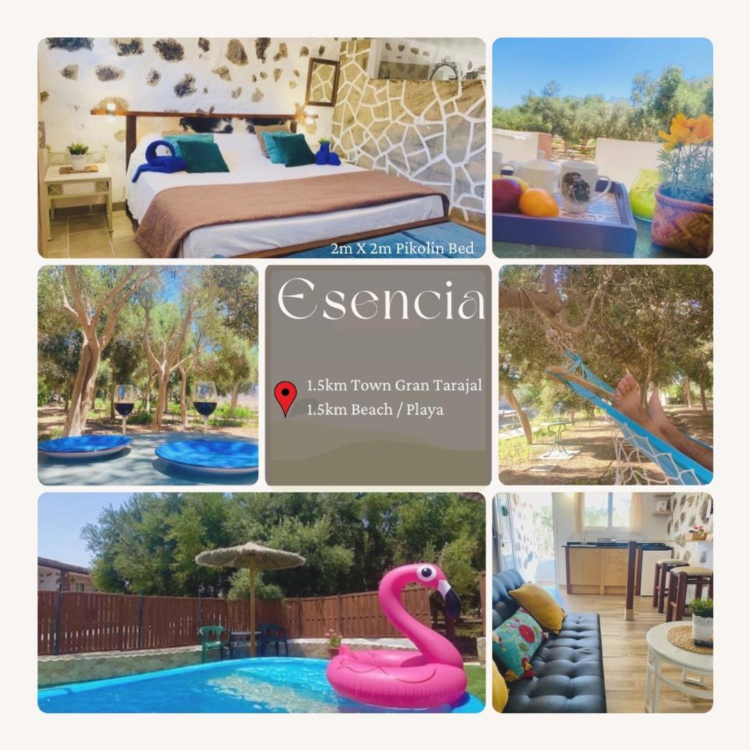 Bungalow Alma #Only Adults El Charco  Extérieur photo